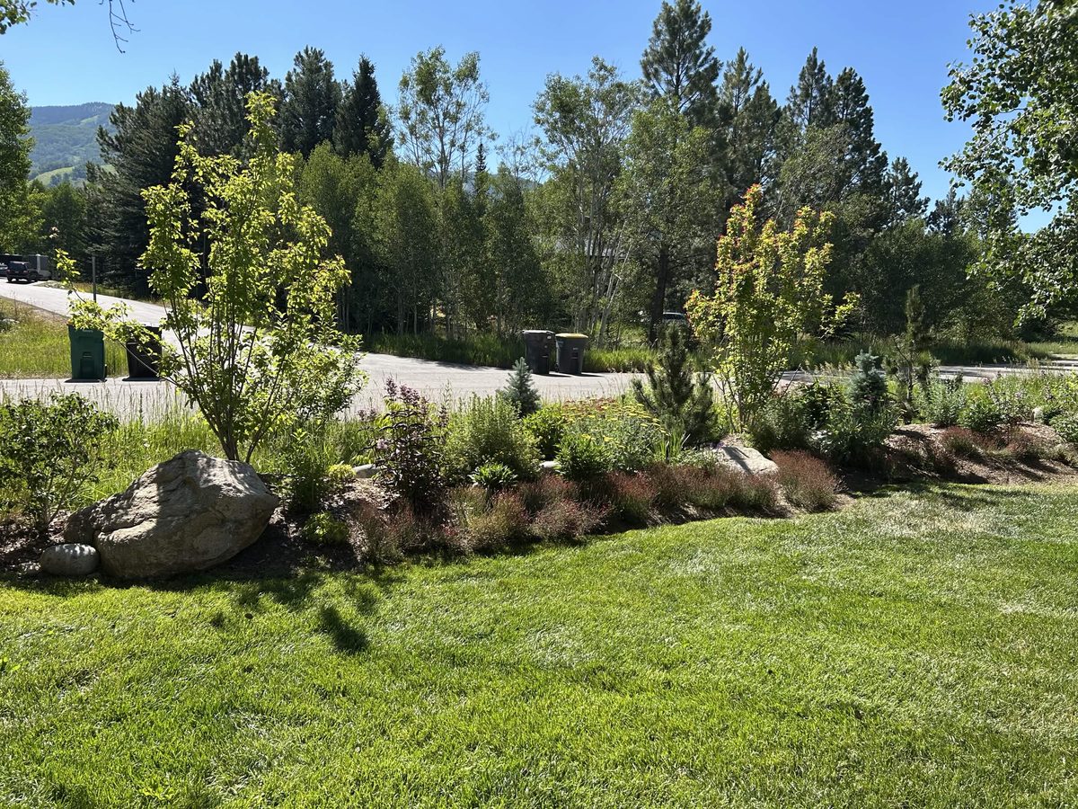 Planting bed design with boulders and mountain backdrop