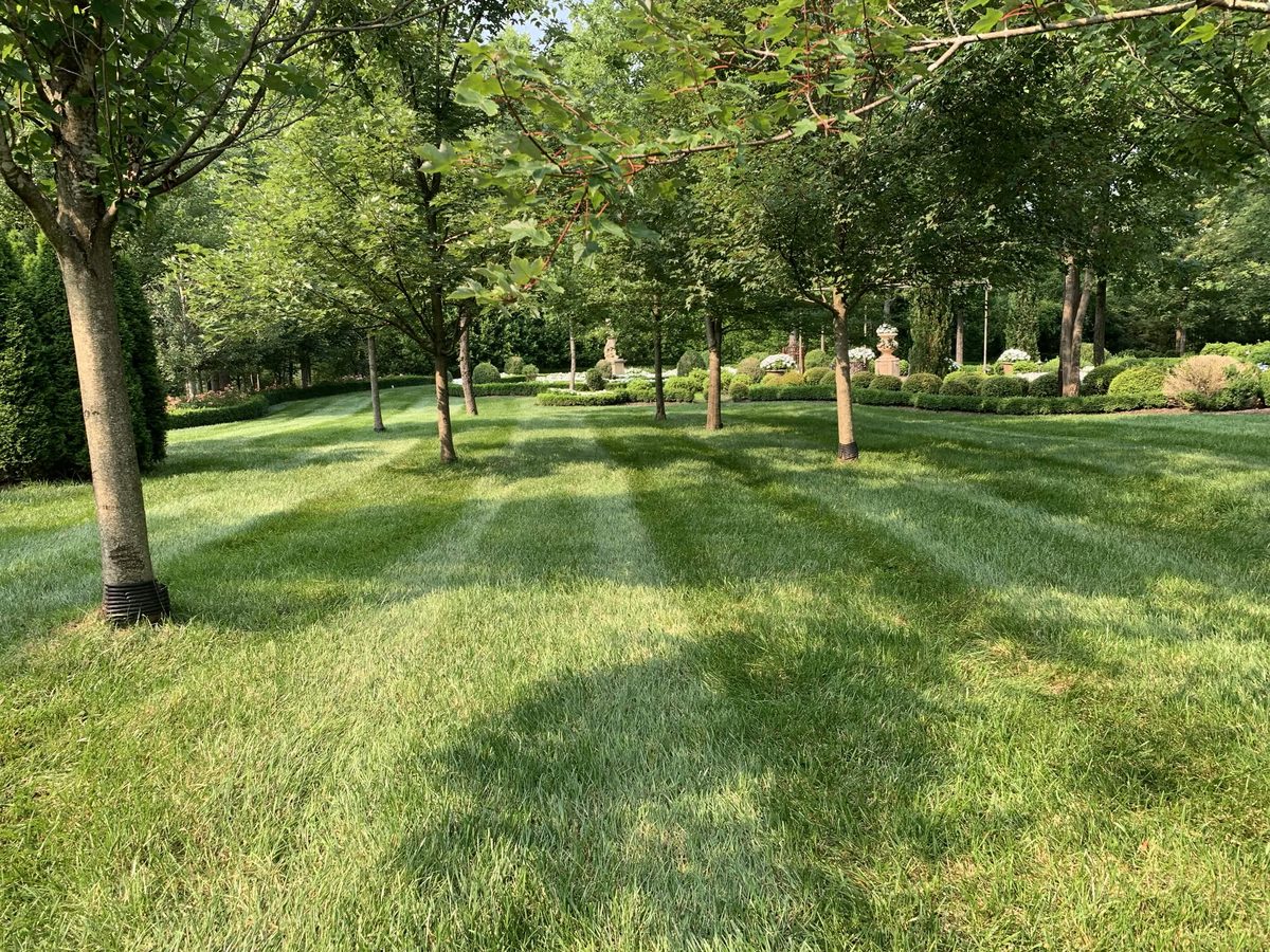 Manicured estate lawn with perfect mowing stripes