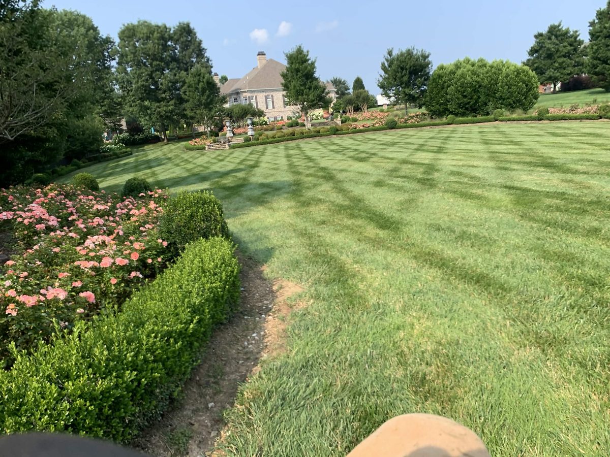Estate lawn with crosshatch mowing pattern