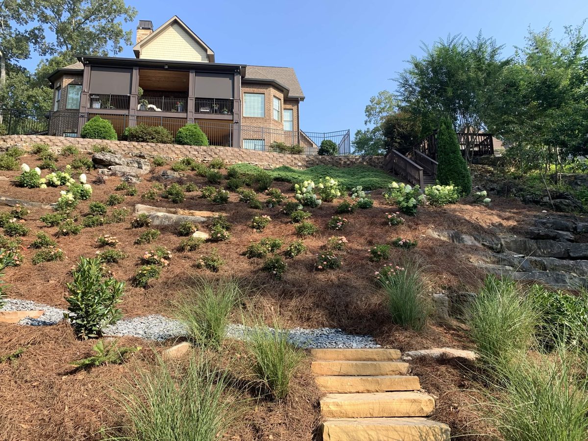 Hillside landscape architecture with terracing