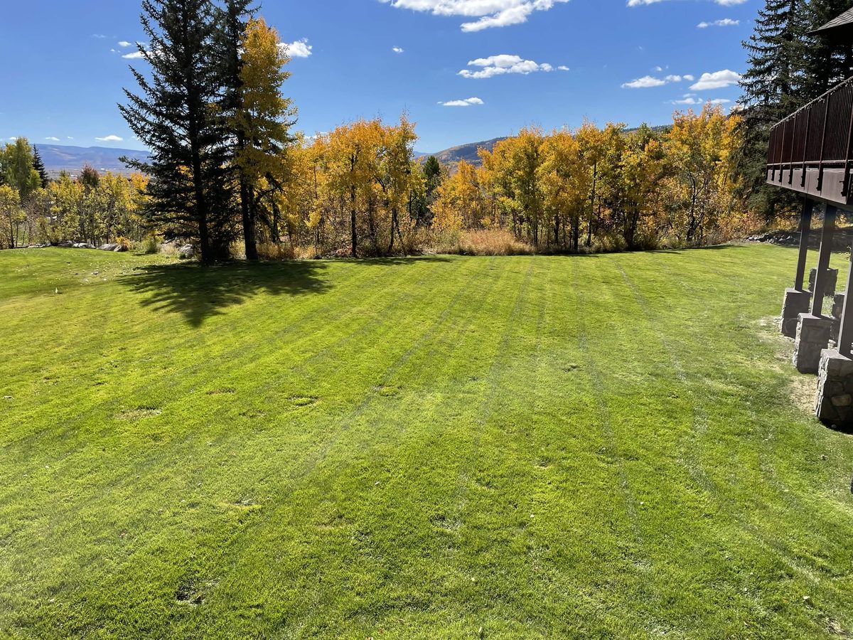 Mountain property in autumn with striped lawn